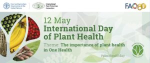 3 web banner (without the save the date) for the idph website 110ce078c4af444dd9594a7ab76ad8387